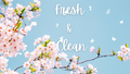 ***NEW***So Fresh & Clean Pillow Talk Buttahs!